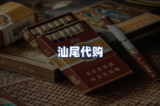 汕尾代购